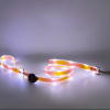 Adjustable LED BDSM Leash front angle detail