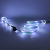 Adjustable LED BDSM Leash hardware and finish detail