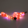 Adjustable LED BDSM Leash main product view
