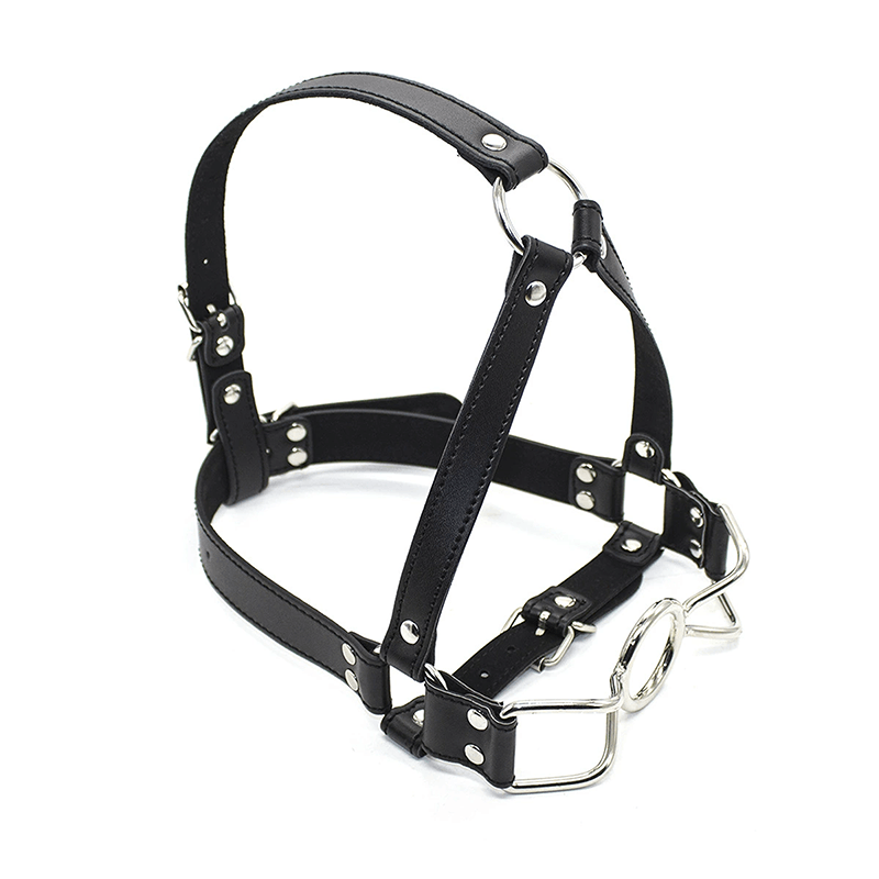 Leather O-Ring Gag with Nipple Clamps style E main product view
