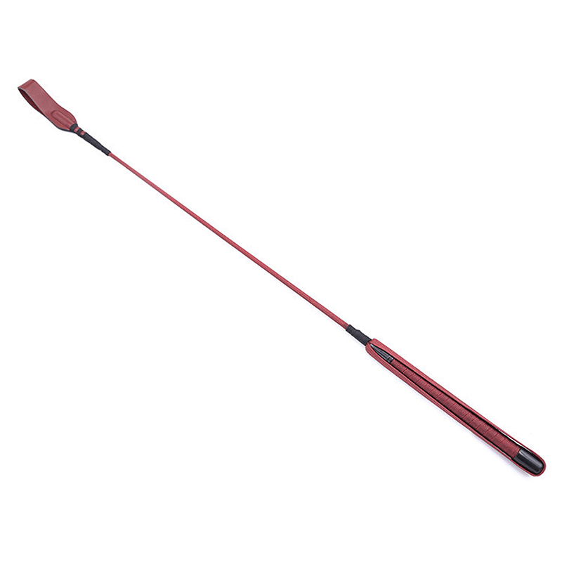 Long Leather Handle Cane Whip style C main product view